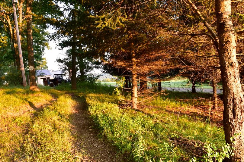 Chemung 285.49 rockefeller 95