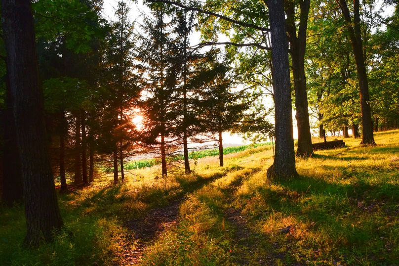 Chemung 285.49 rockefeller 93