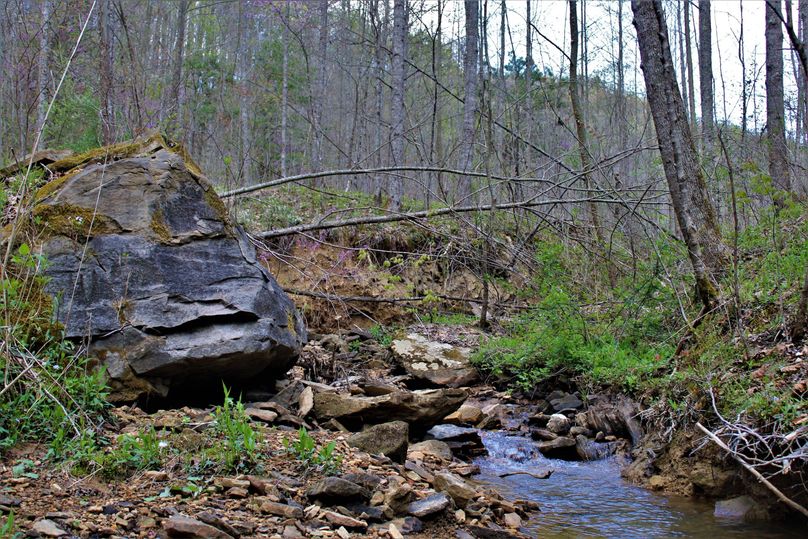 018 more nice rock features along alex creek