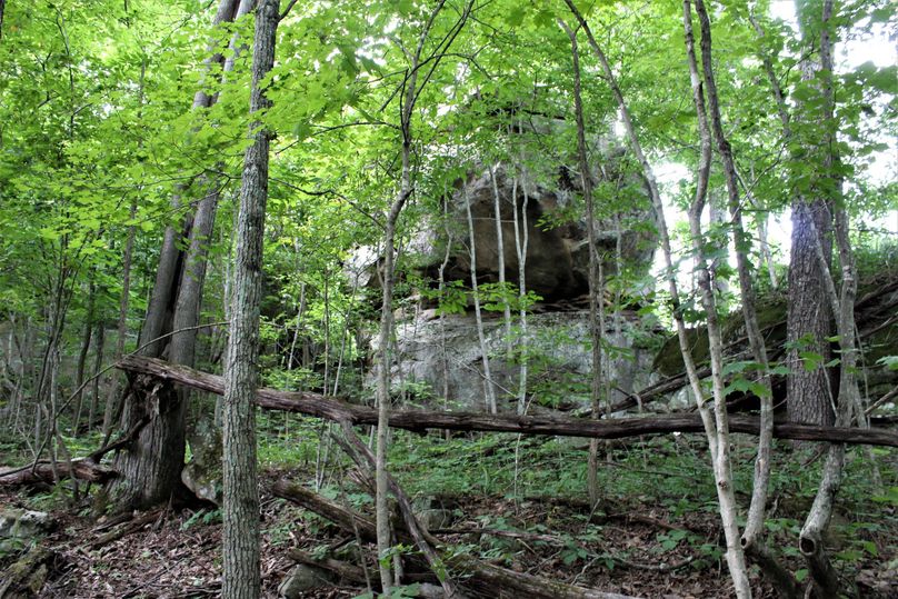 003 some of the magnificent rock features along the upper rim on the ridges