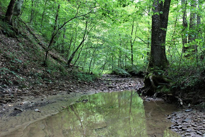 002 big branch creek running through the property from south to north