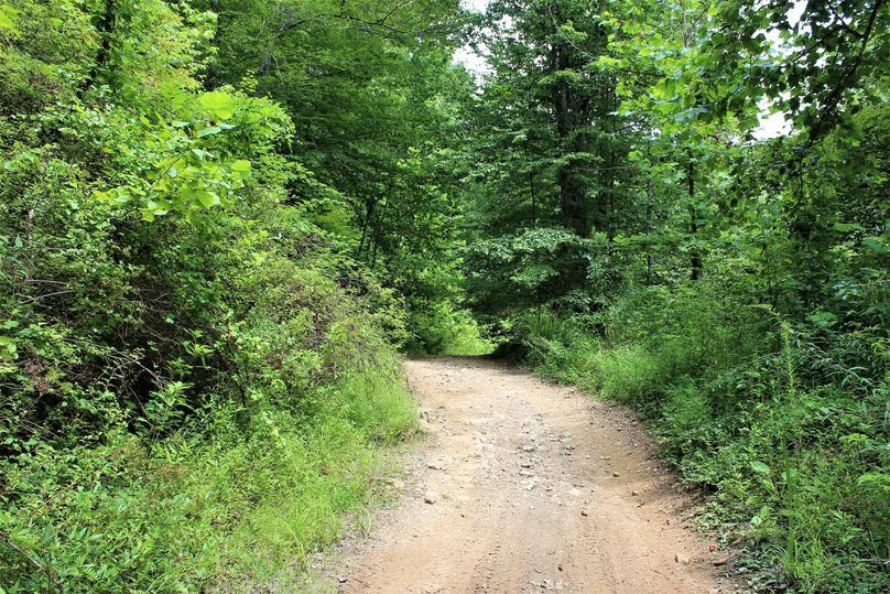 009 the access road leading along the north boundary