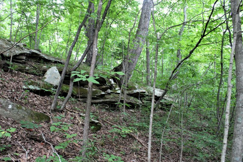 016 north facing slope with rock outcropping in the middle portion of the property