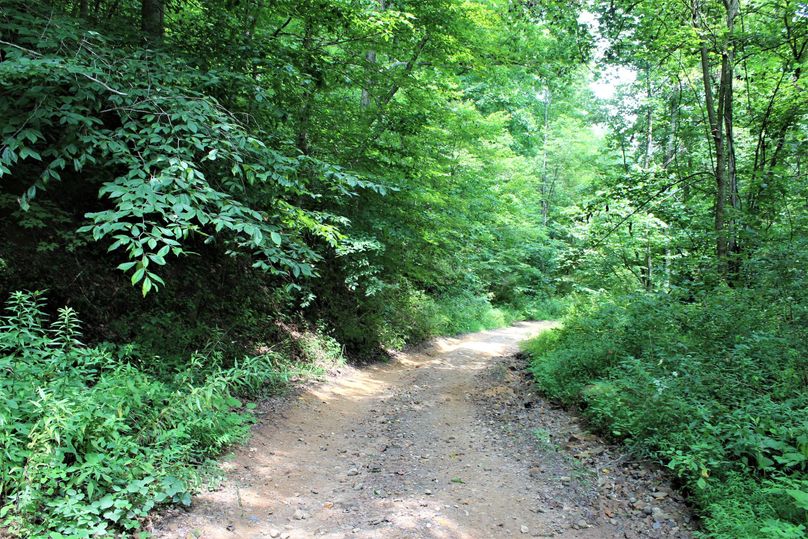 018 access road that leads along the north boundary