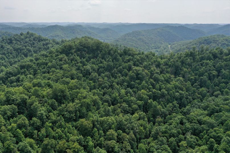 020 aerial drone shot from the north boundary looking west