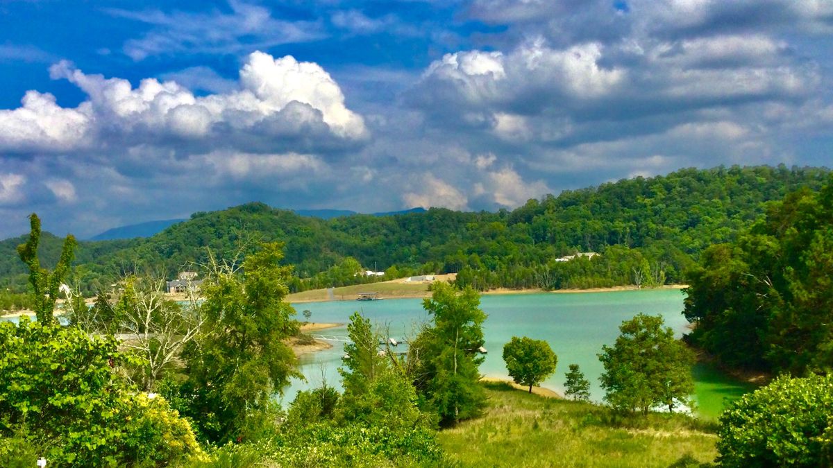 Amazing Emerald Pointe Douglas Lake Lot Near Dandridge TN Whitetail