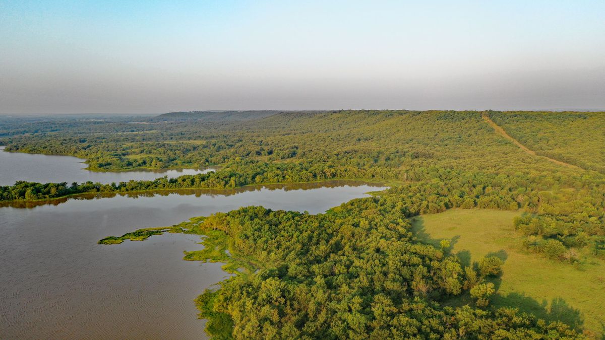 Lake Henryetta Waterfront Hunting & Fishing Mecca Whitetail Properties
