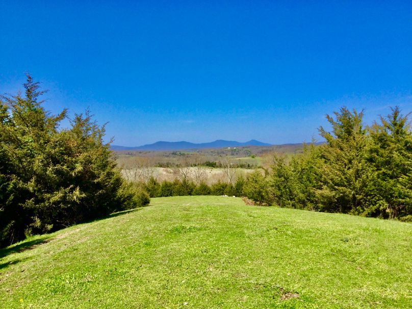 Copy of greene 41.5 pic 1