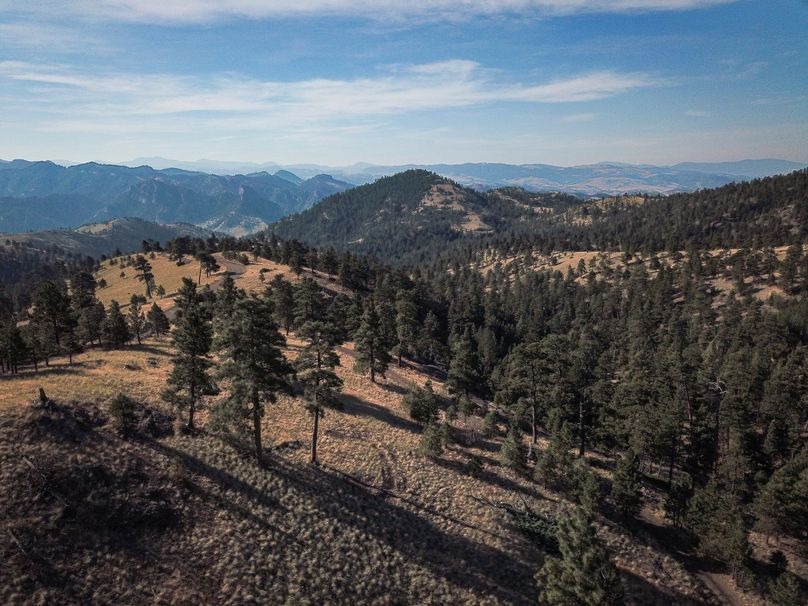 1. 20210811-dji 0063