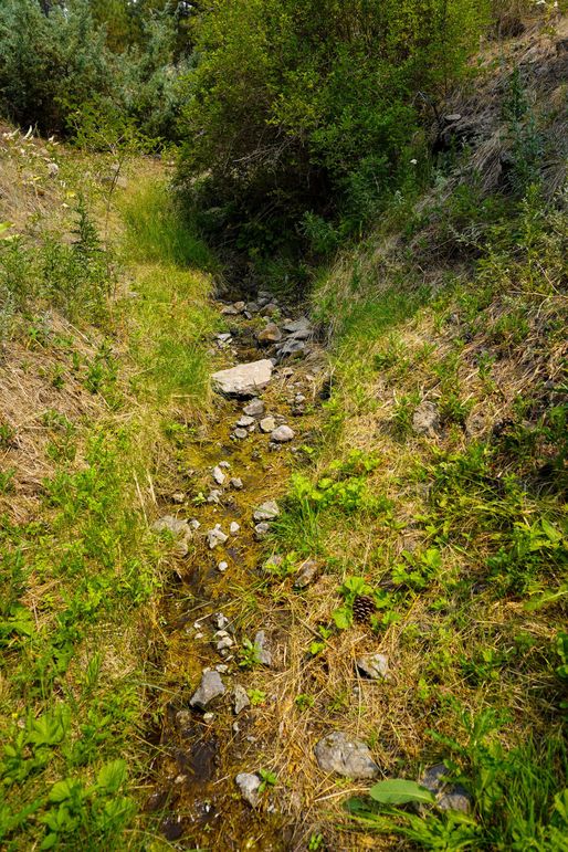 2. 20210803-dsc01087