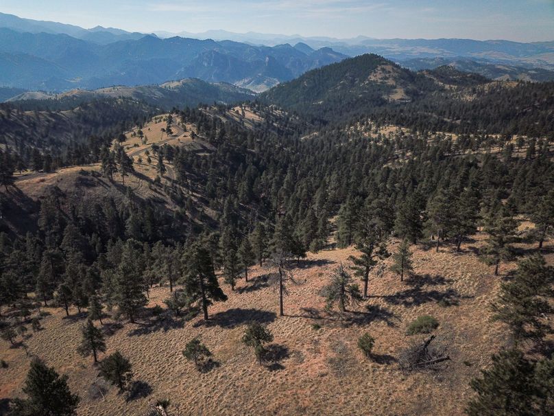 2. 20210811-dji 0077