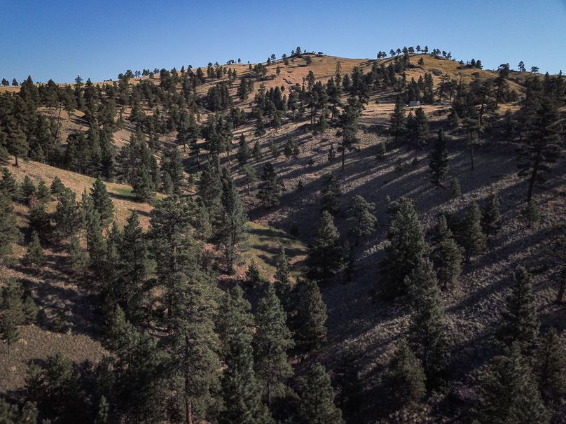 3. 20210811-dji 0070