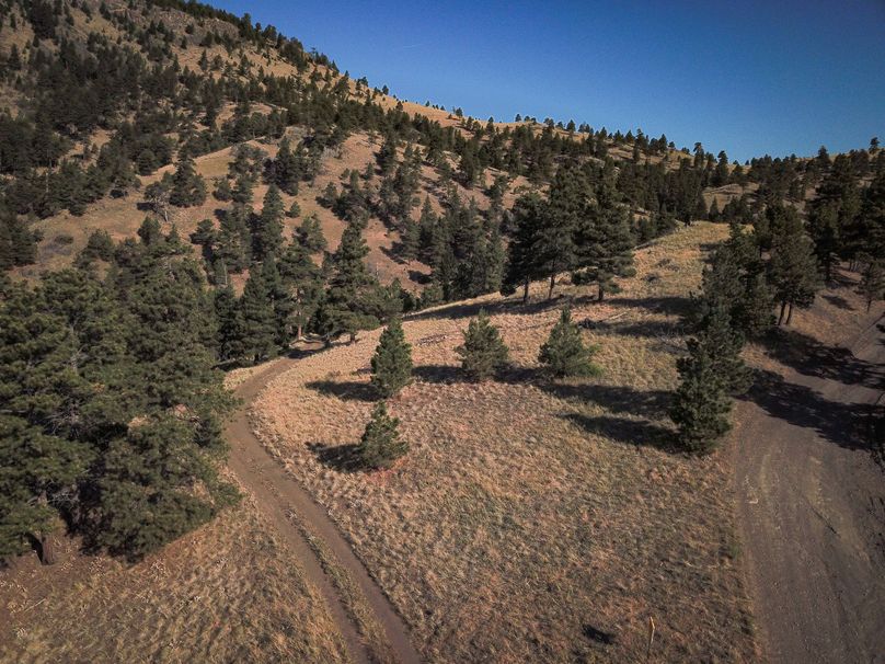 4. 20210811-dji 0054