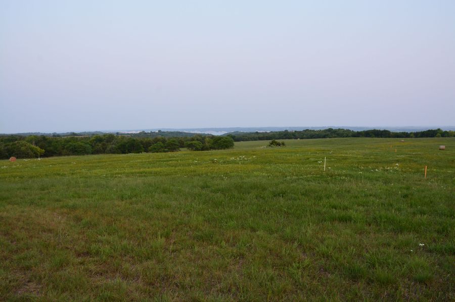 Lot 8(6)