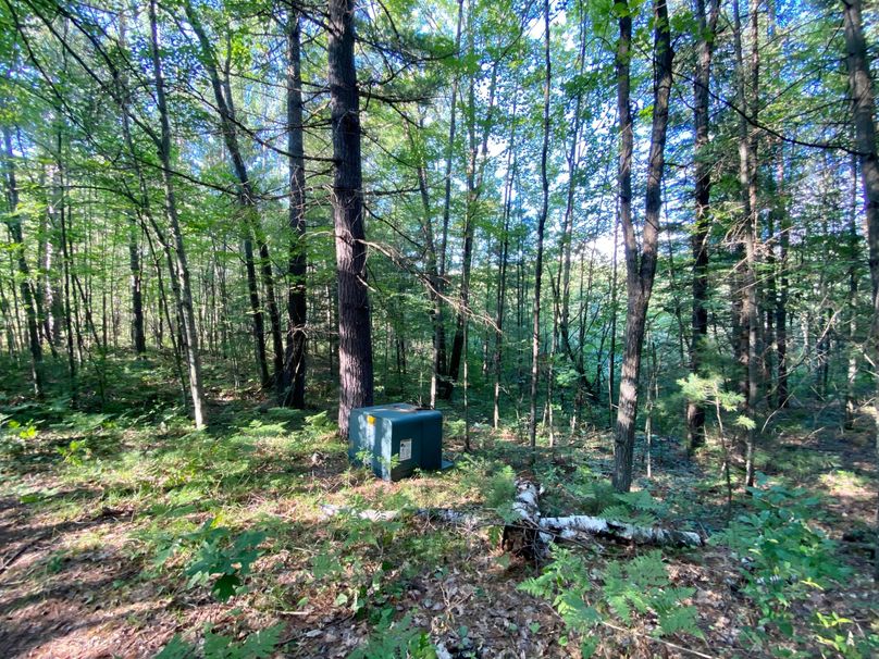 Underground electric