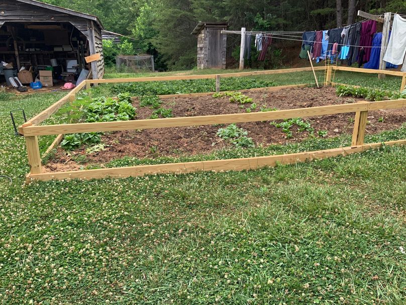 007 raised beds