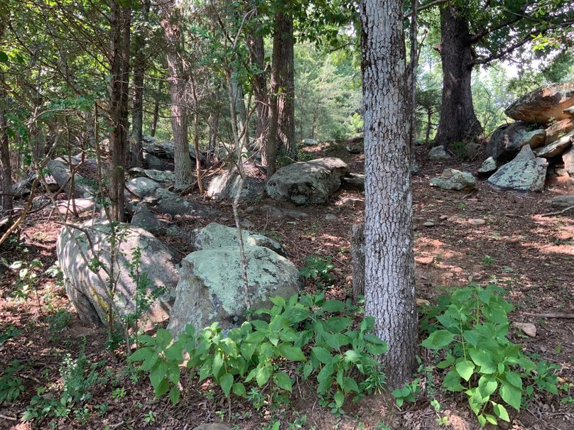 015 rock outcropping