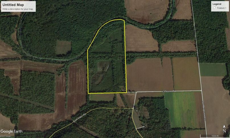 Webbed foot 2 google 1