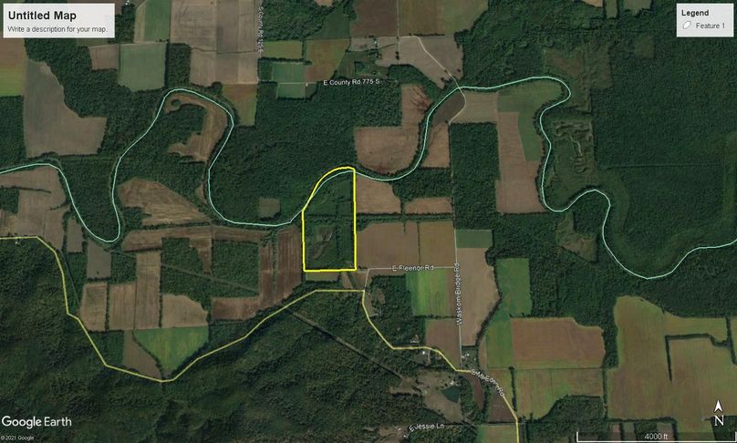 Webbed foot 2 google 2