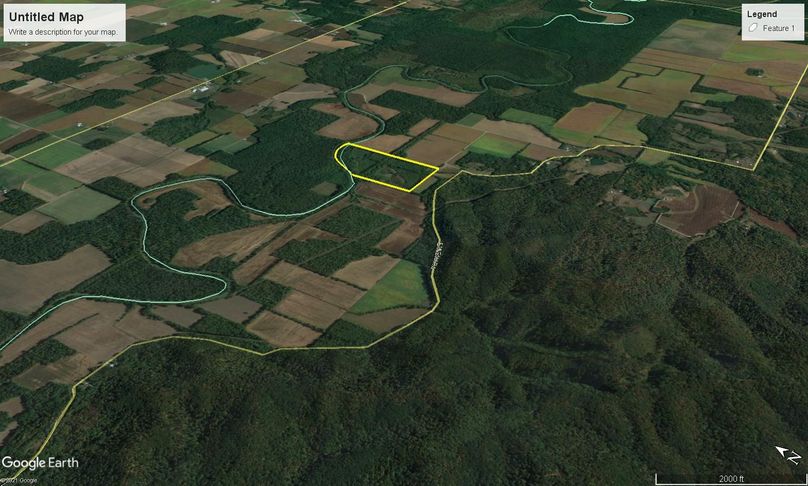 Webbed foot 2 google 4