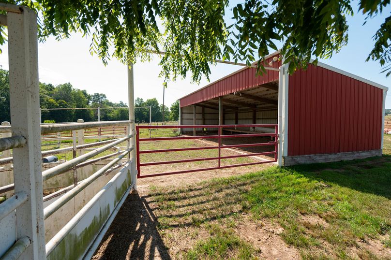 Ozark MO 638_Pro Photo_64