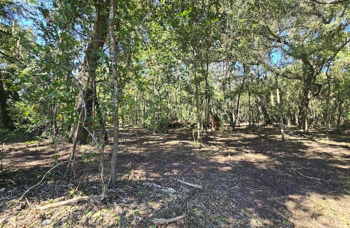 7.8ac, Citrus, Andrew Goering04