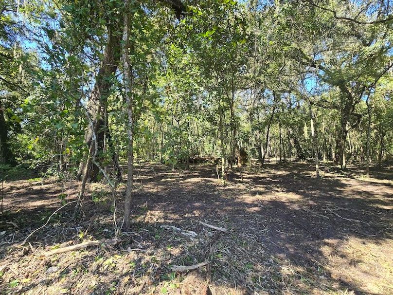 7.8ac, Citrus, Andrew Goering04