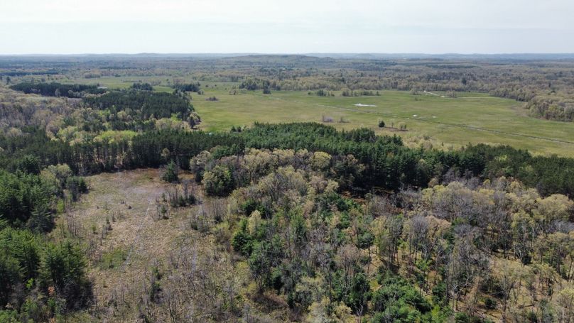 dji_fly_20230511_114122_449_1683838295191_photo_optimized