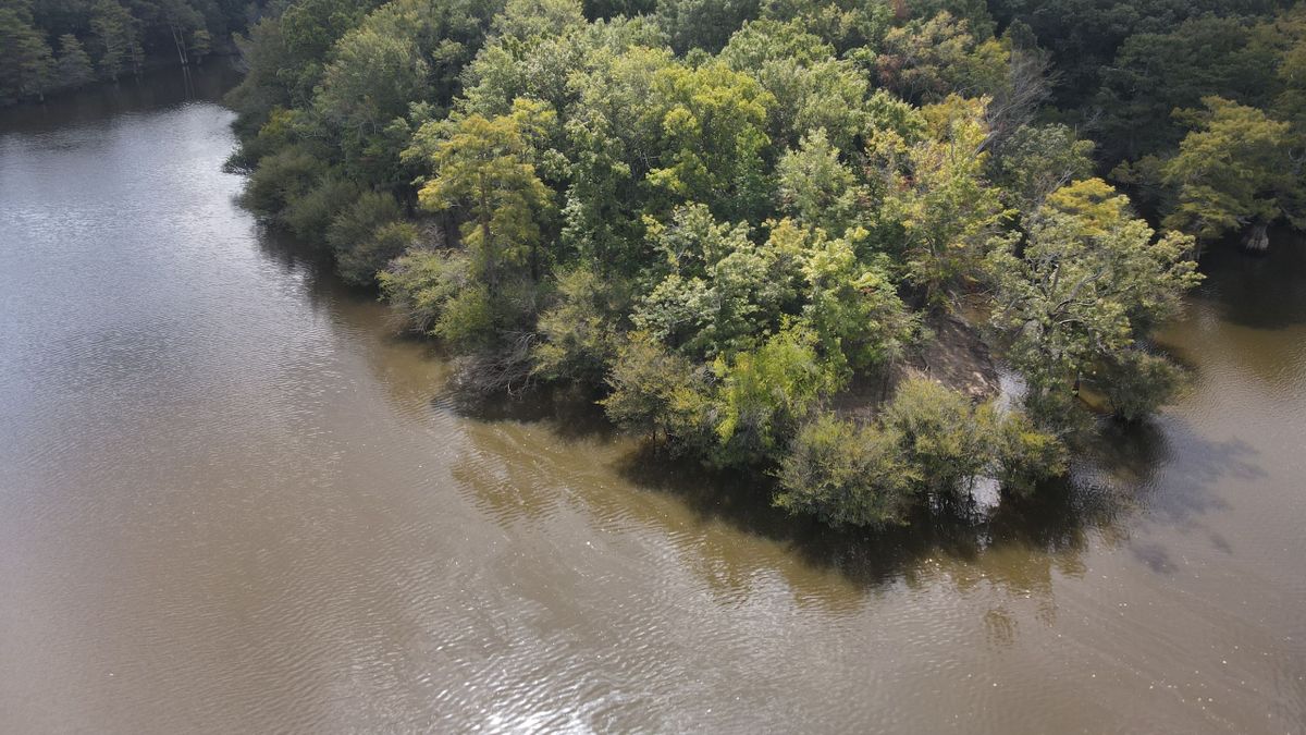 Lake Front Property On Bayou Des Arc Whitetail Properties