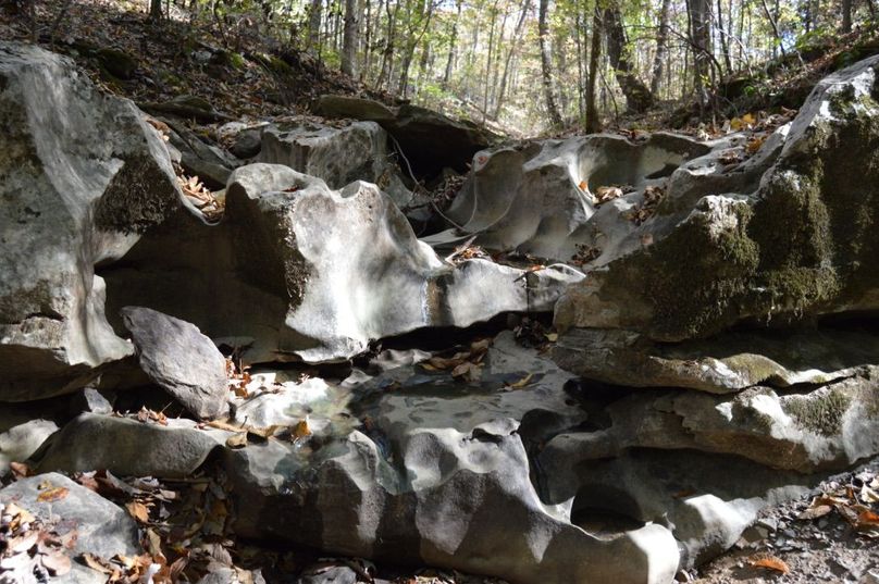 Copy of copy of unadjustednonraw thumb 6695