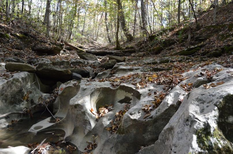 Copy of copy of unadjustednonraw thumb 6696