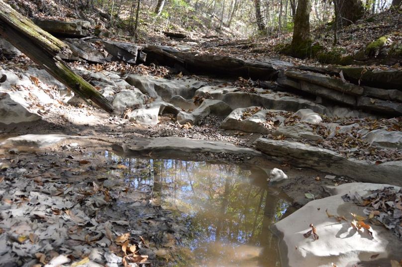 Copy of copy of unadjustednonraw thumb 6698