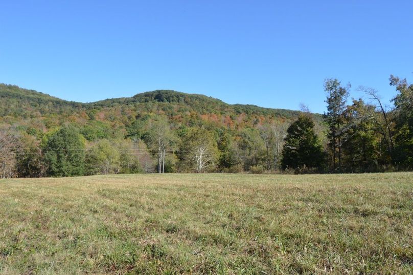 Copy of copy of unadjustednonraw thumb 6699