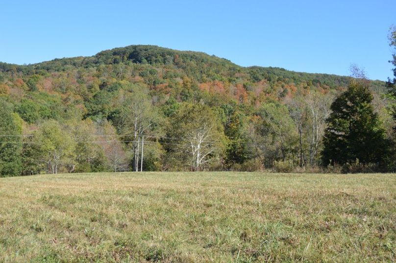 Copy of copy of unadjustednonraw thumb 669a