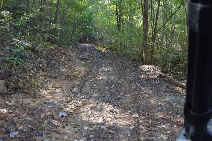 Copy of copy of unadjustednonraw thumb 66a0