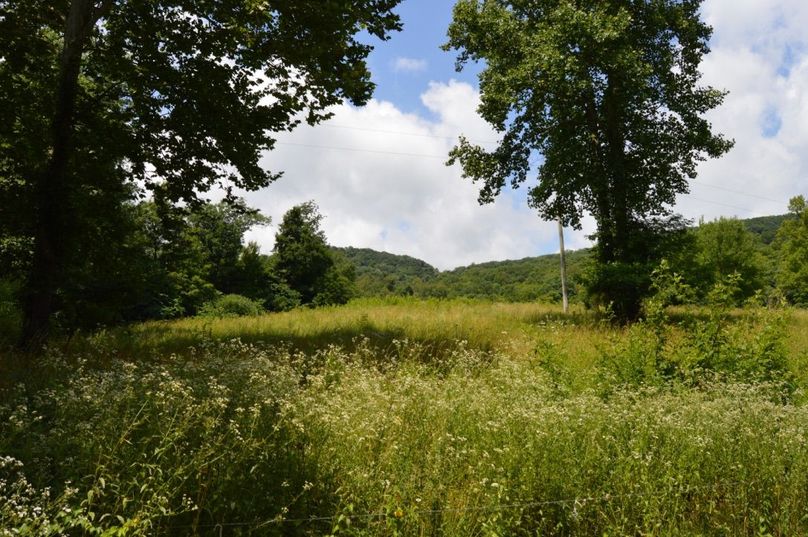 Copy of unadjustednonraw thumb bf5