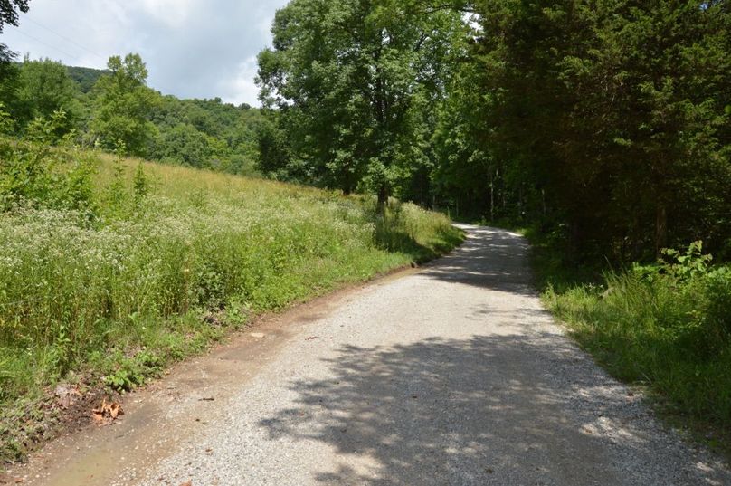 Copy of unadjustednonraw thumb bf6