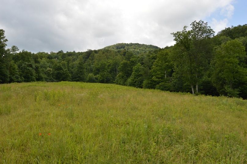 Copy of unadjustednonraw thumb bf7