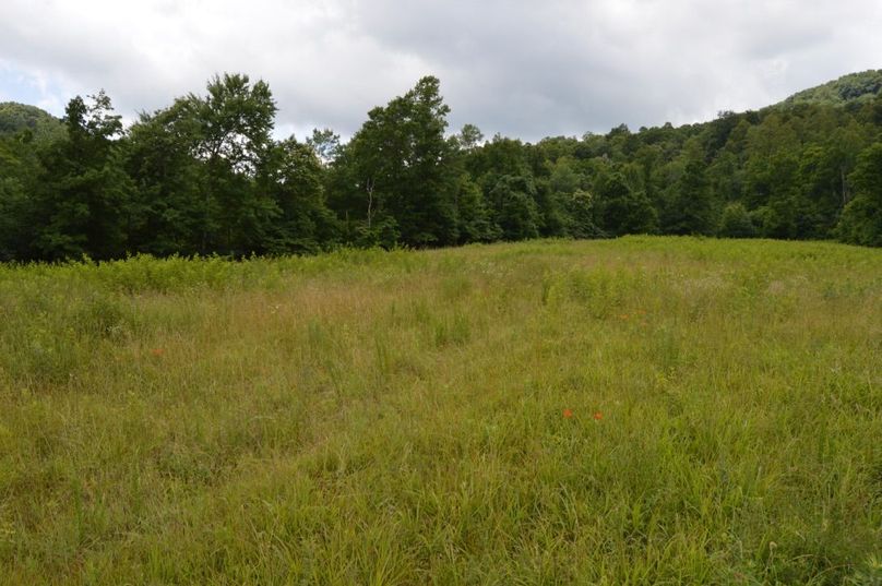 Copy of unadjustednonraw thumb bf8