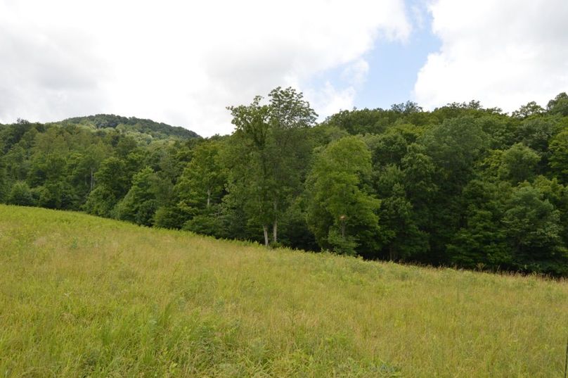 Copy of unadjustednonraw thumb bfa