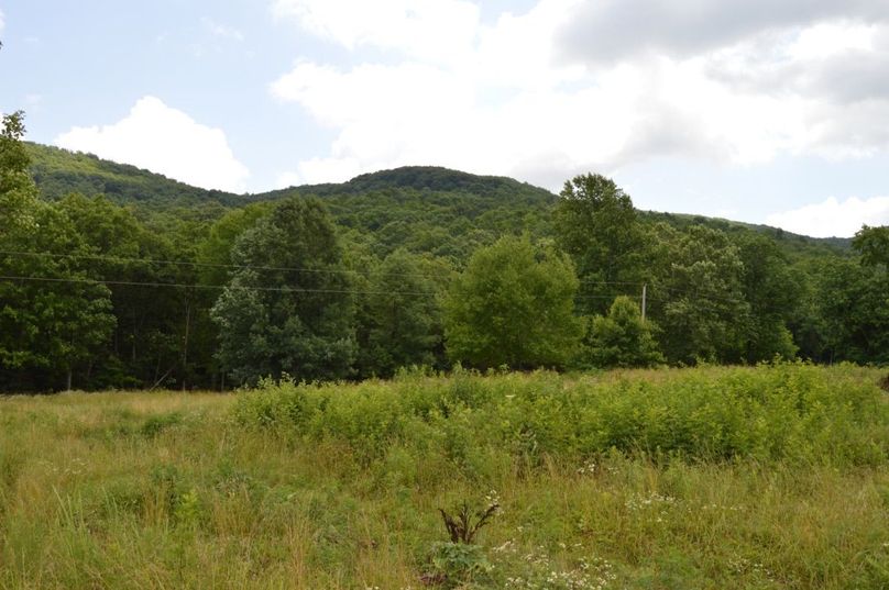 Copy of unadjustednonraw thumb bfb