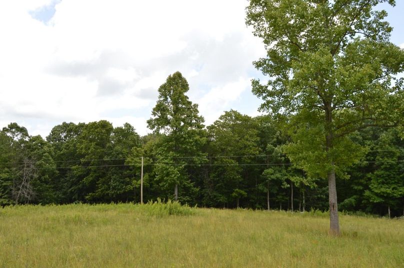 Copy of unadjustednonraw thumb bfc