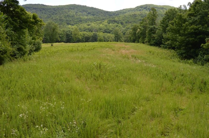 Copy of unadjustednonraw thumb bff