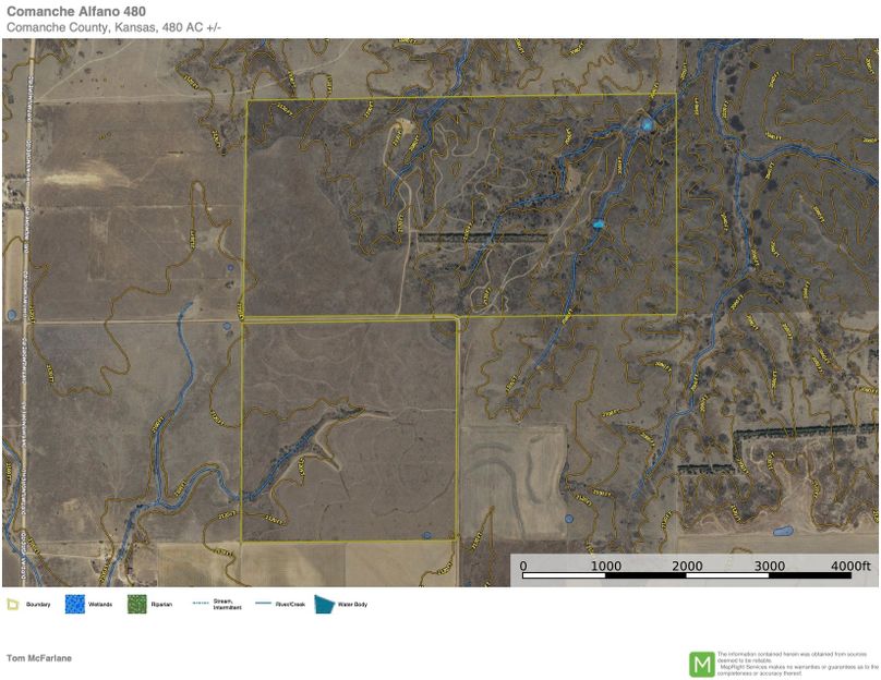 Comanche alfano 480 topo