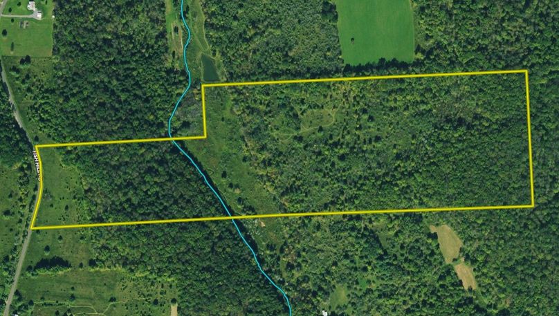 Z cortland 60.78 bliss google