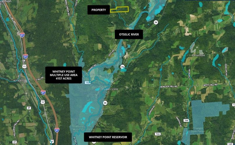 Z cortland 60.78 bliss wide area
