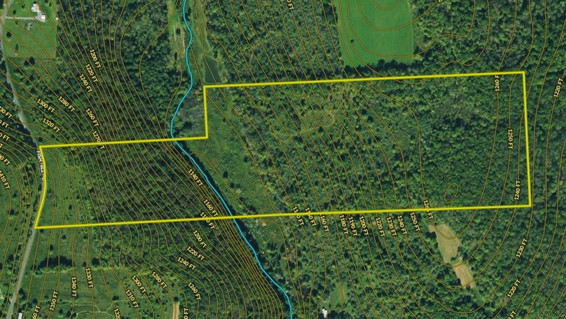 Z cortland 60.78 bliss topo