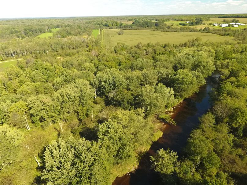 18 mink creek merges here jpg