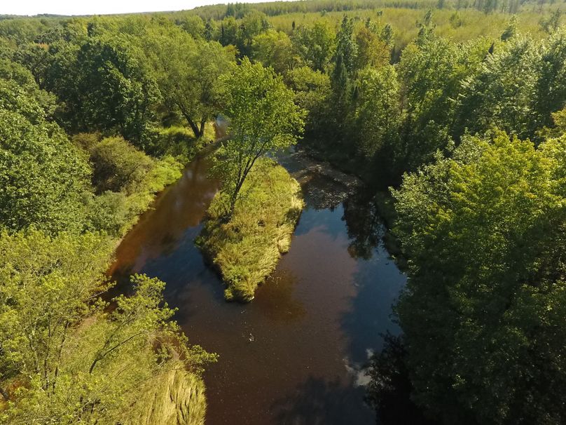 6. island in the riverjpg