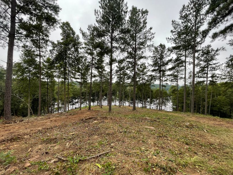 007 homesite